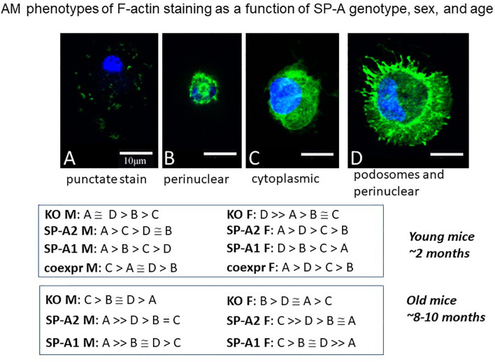 Figure 10