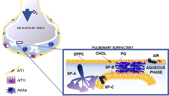 Figure 2