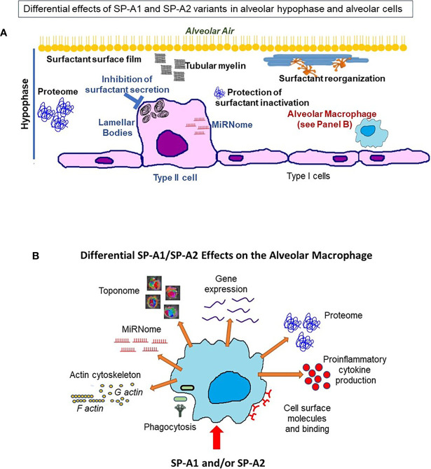 Figure 13