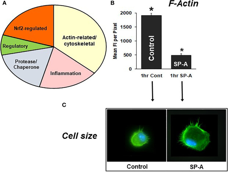 Figure 7