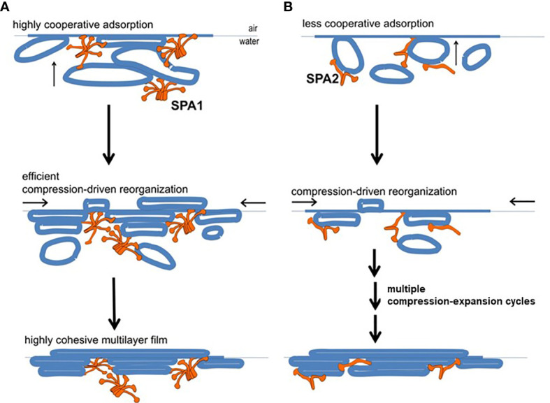 Figure 6