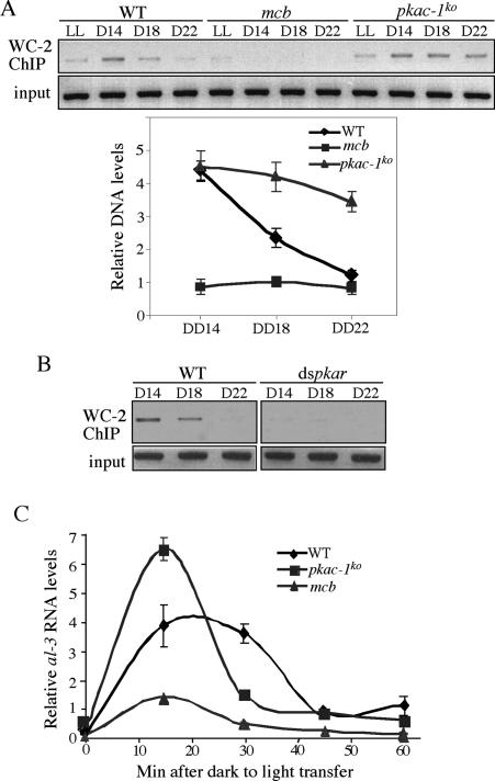 Figure 6.