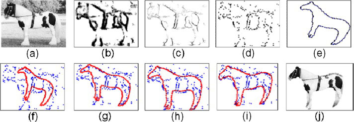 Fig. 10