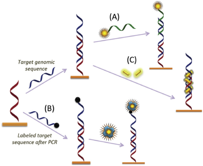 Fig. 4