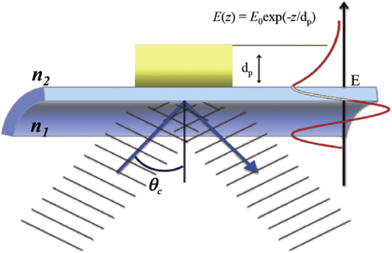 Fig. 1