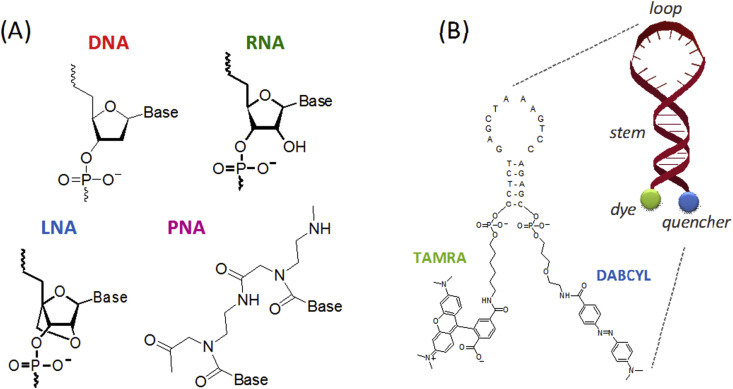 Fig. 6