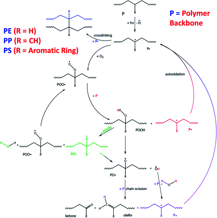 Fig. 10