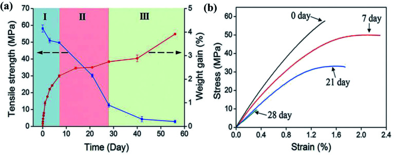 Fig. 26