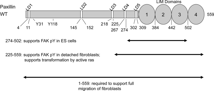 FIGURE 7.