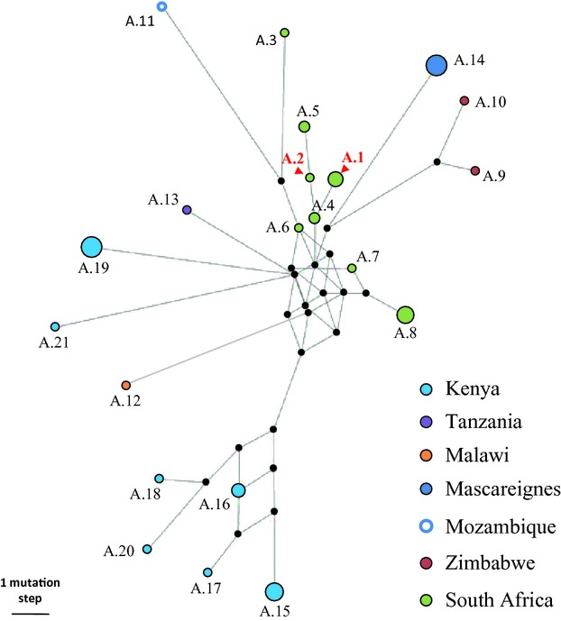 Figure 2