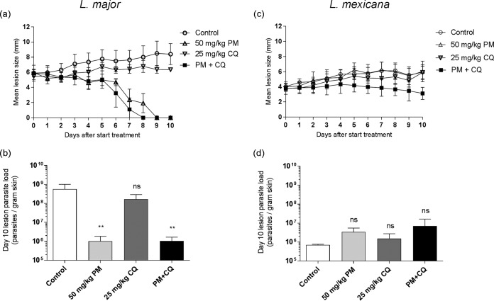 FIG 2