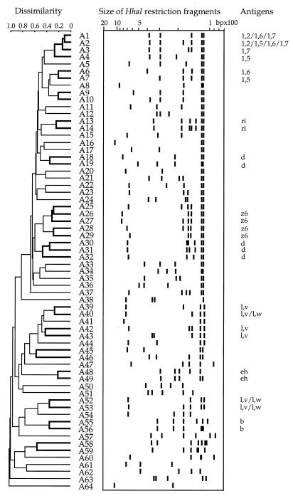 FIG. 1