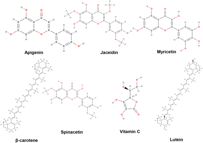 Fig. 10