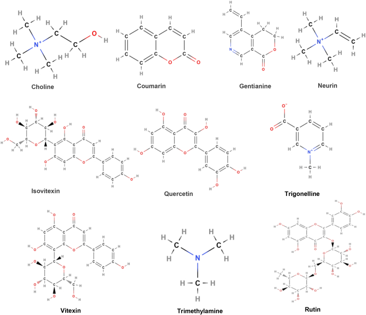 Fig. 12