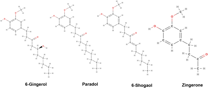 Fig. 13