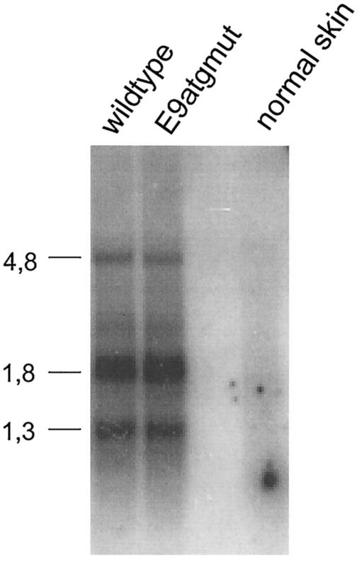 FIG. 9.