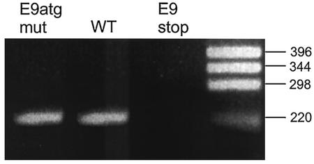 FIG. 8.