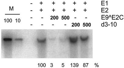 FIG. 5.