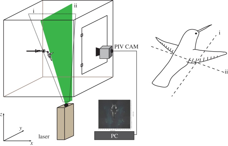 Figure 1.