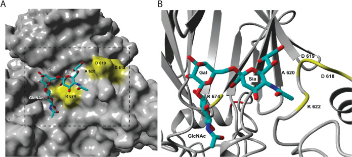 FIG 1