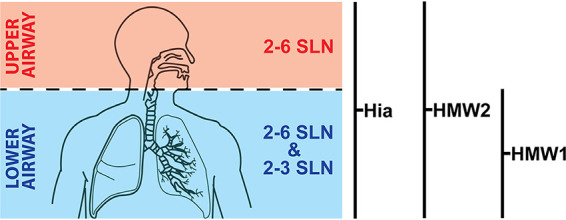 FIG 5