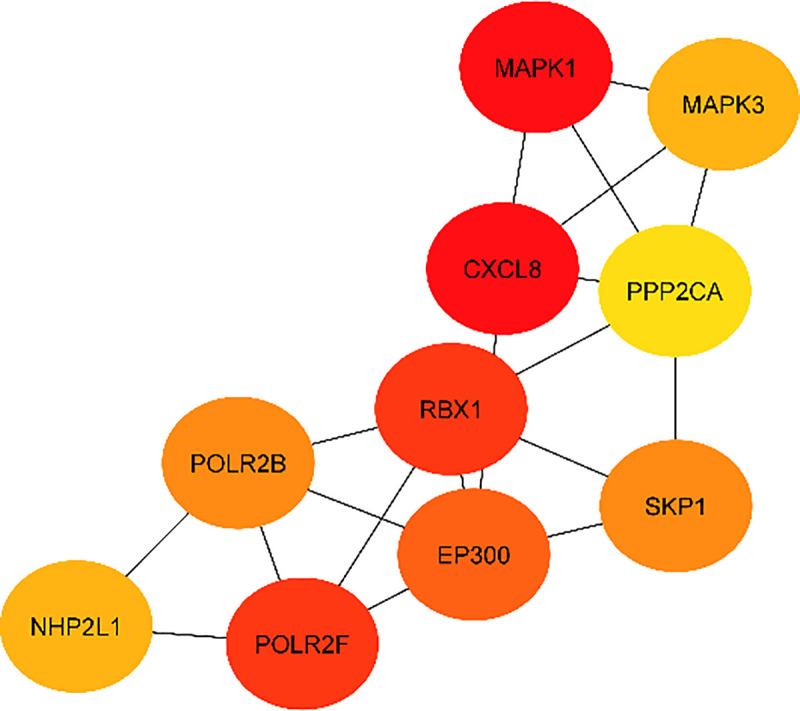Fig 8