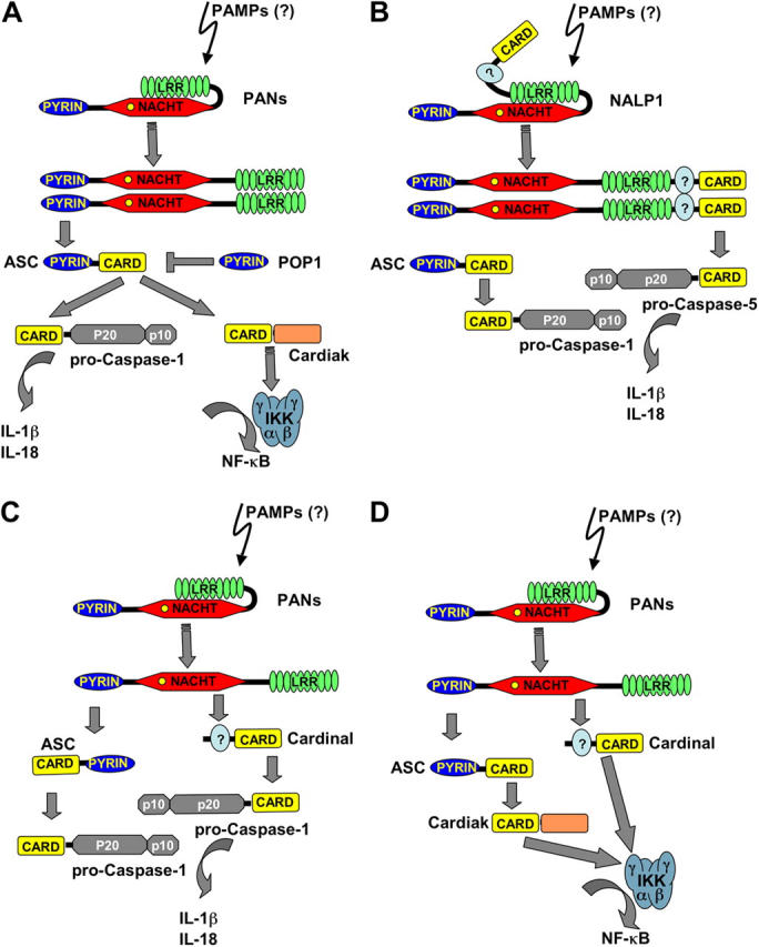 Figure 2.