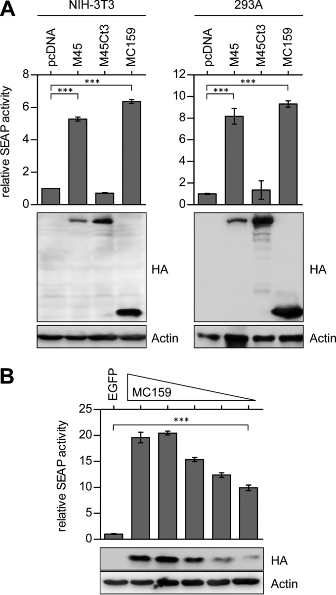 FIG 2