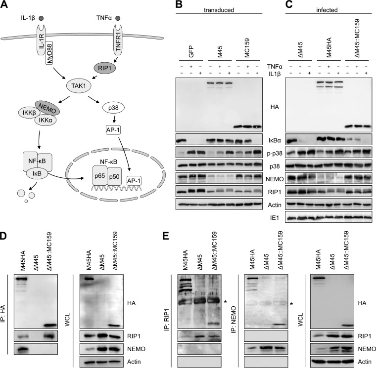 FIG 4