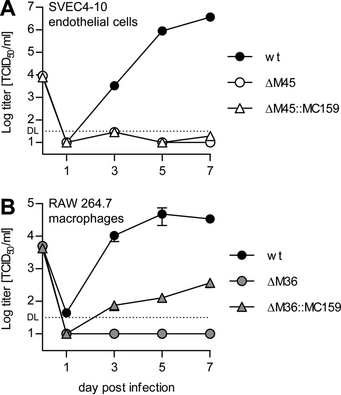 FIG 6