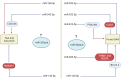 Fig. 10