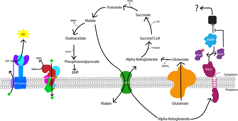 Figure 10.