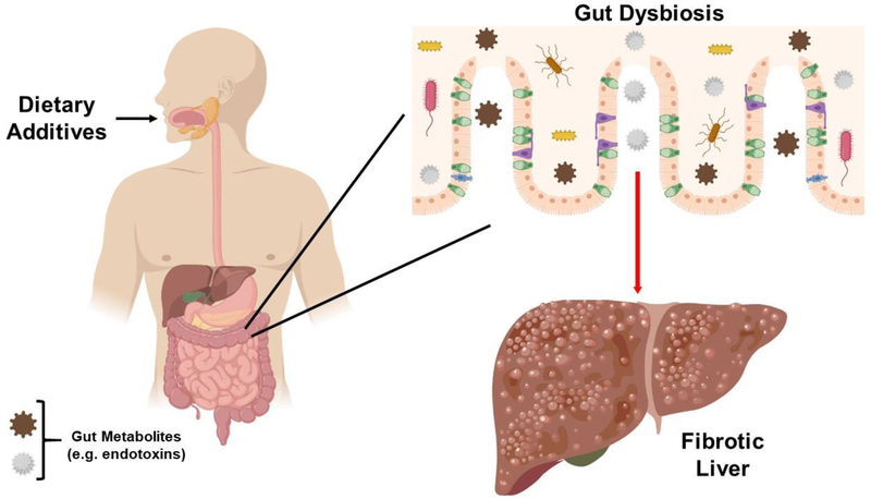 Figure 1: