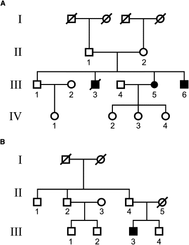 Figure 6