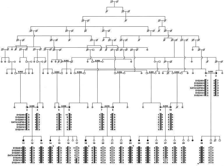 Figure 1