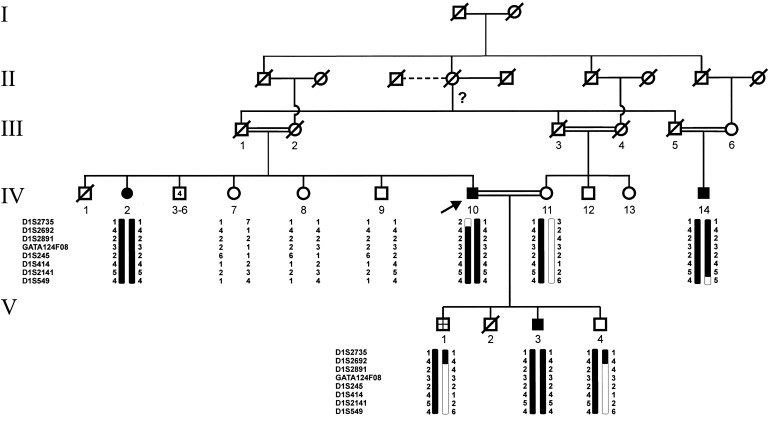 Figure 2