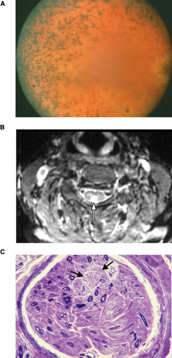 Figure 7