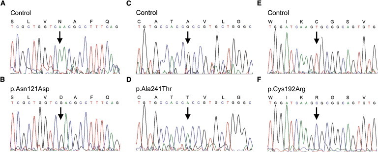 Figure 5