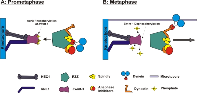 FIGURE 9: