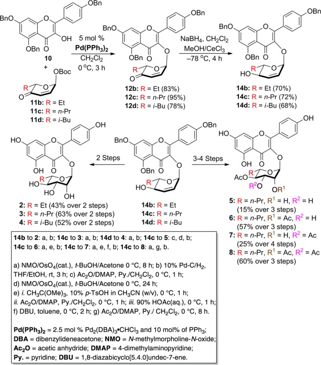 Scheme 3