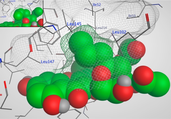 Figure 2