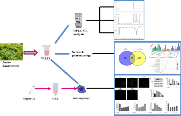 graphic file with name ao2c07913_0010.jpg