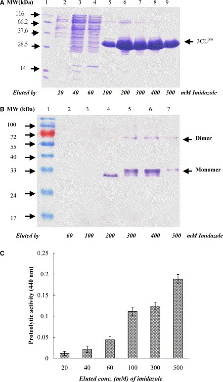 figure image