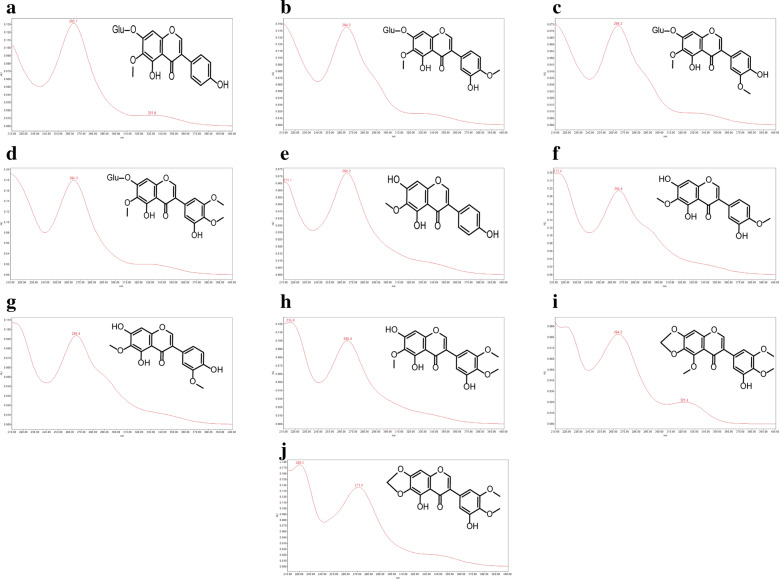 Fig. 8