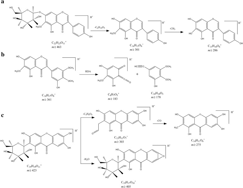 Fig. 9