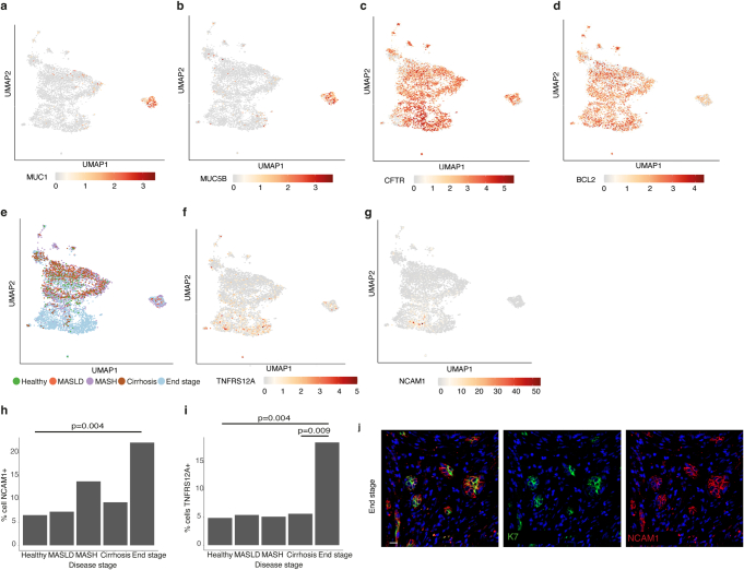 Extended Data Fig. 6