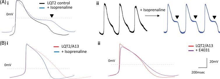 Figure 6