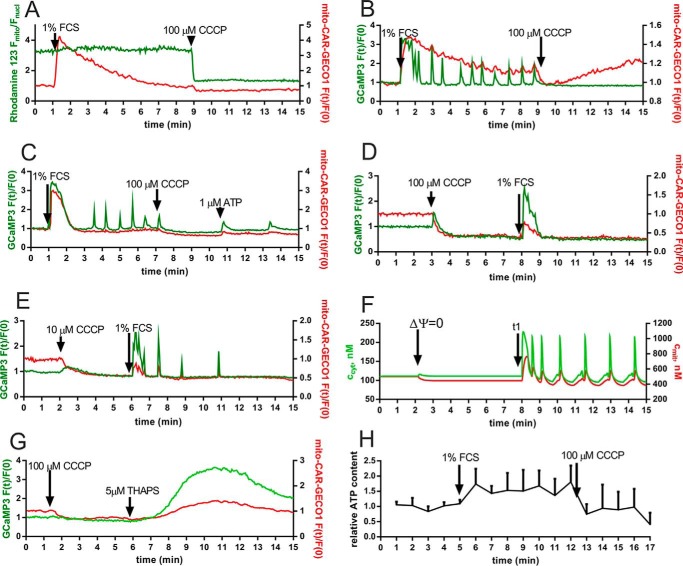 FIGURE 4.