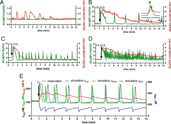 FIGURE 2.