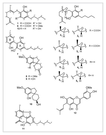 graphic file with name nihms787119u1.jpg